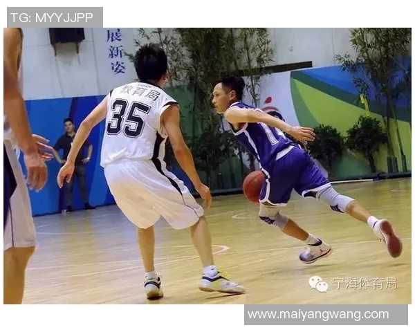 体彩篮球304场次太阳队对阵篮网队精彩对决分析与预测